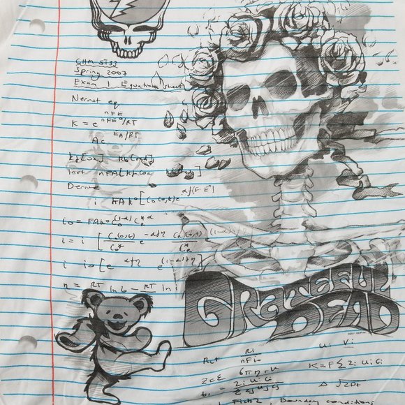 Grateful Dead Bertha Notebook Sketch Licensed - Picture 1 of 6